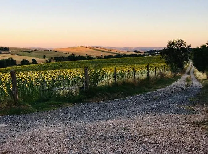 Barbicate 萨杜勒尼亚