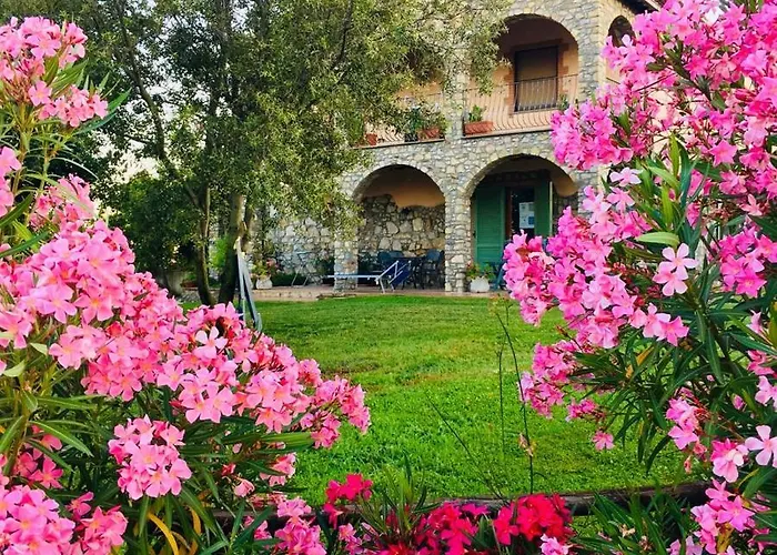 Barbicate * Saturnia